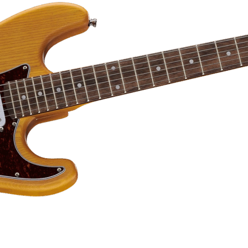 Harley Benton ST-90SA Swamp Ash DLX Series 豪華系列