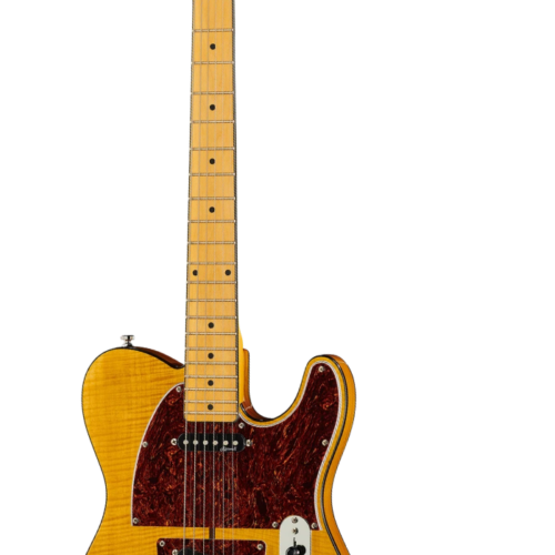 Harley Benton TE-80 NT Deluxe Series